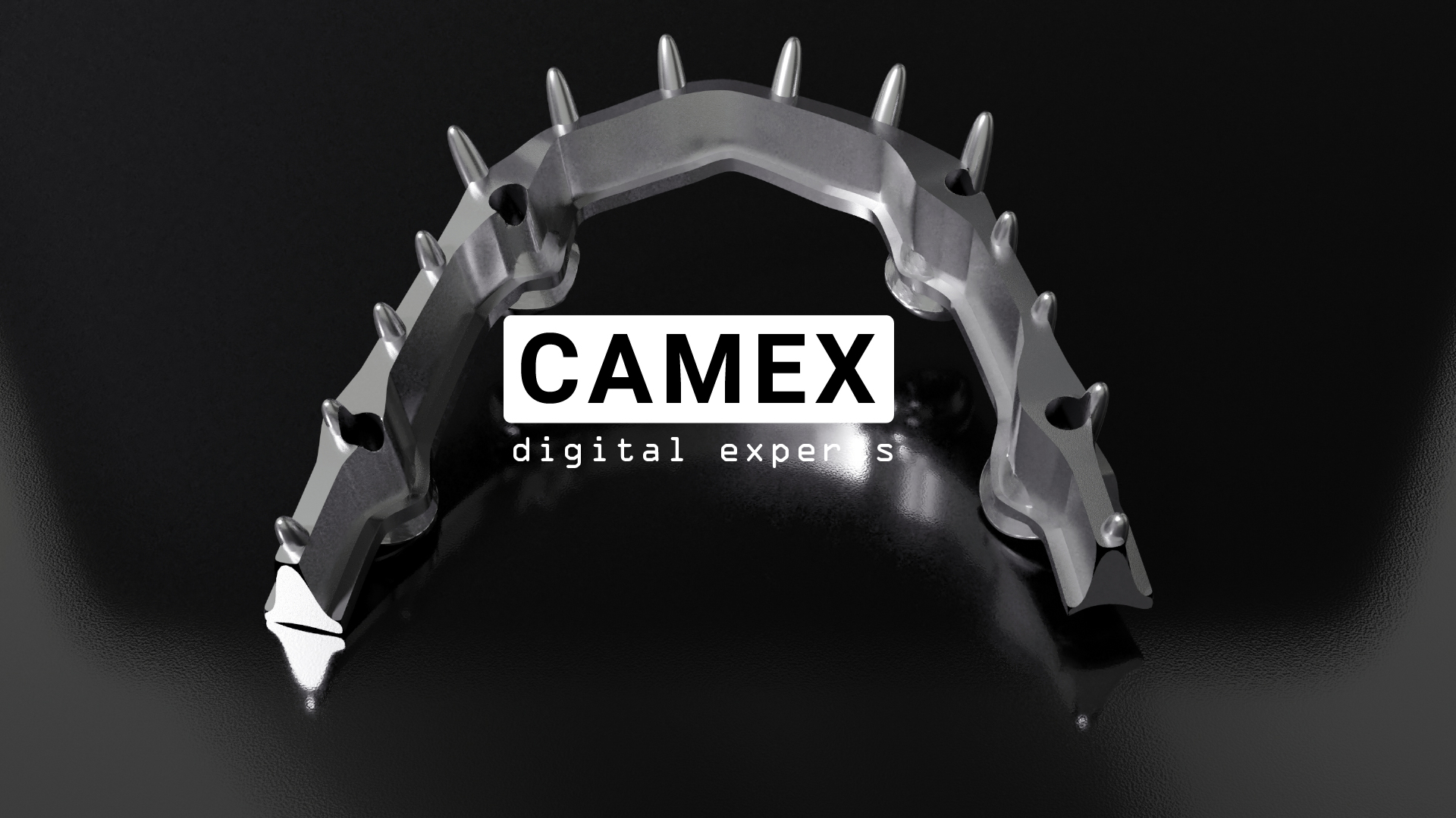 Camex Sà Rl Digital Experts