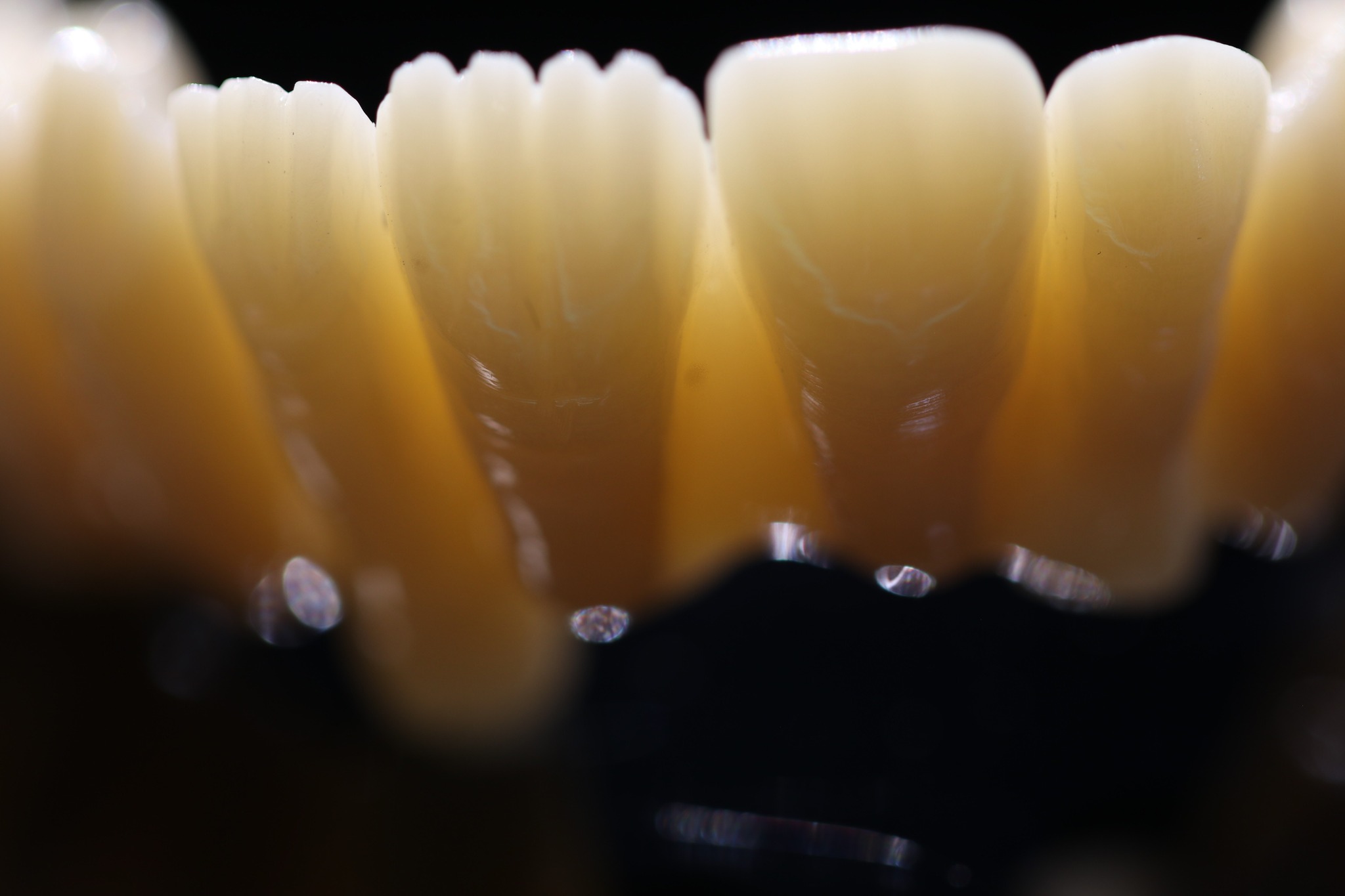 518224445_1069101955326740_5955151744052208919_n